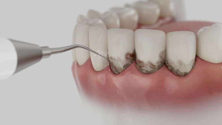 Reliable Dental contractor in Crete, IL by Dentist Open Now